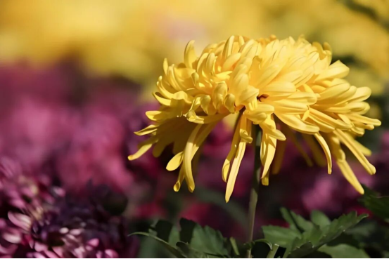 1772678012280580.png image.png