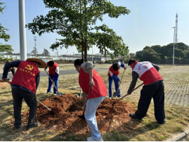 1773825020208899.png image.png