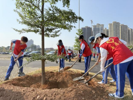 1773825047213379.png image.png