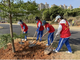 1773825052487963.png image.png