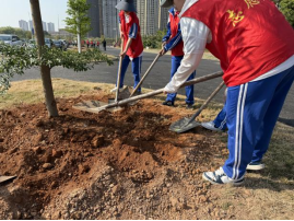 1773825082705343.png image.png