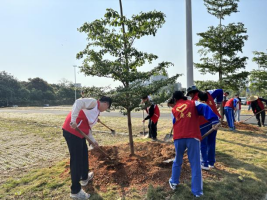 1773825147452749.png image.png