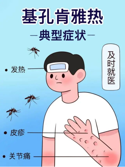 1774490462300318.png image.png